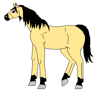 Quenshin, Talen's buckskin runner.