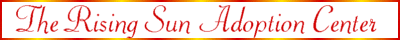 Taria is from here.&nbsp; Click to visit the Island of the Rising Sun.