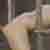 green mile