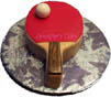 Life-size Table Tennis Paddle (except thicker)