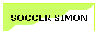 SOCCER SIMON