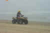 JennATVPismo1109.JPG (37764 bytes)