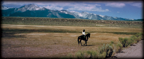 Horseback