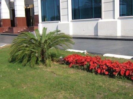 Grand Regency