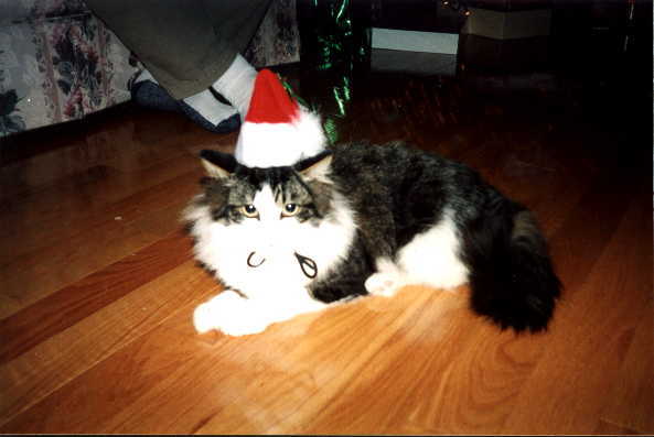nick especially hated this christmas