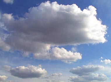 cloud killer whale