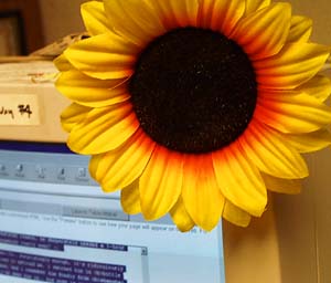 people love my flower