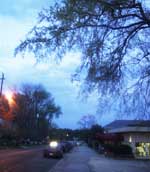 pretty outside