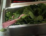 spinach!!!!