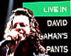 dm - live in david gahan's pants