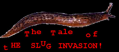 the tale of THE SLUG INVASION!!