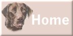 Back to Mom & Dad's Page!!!
