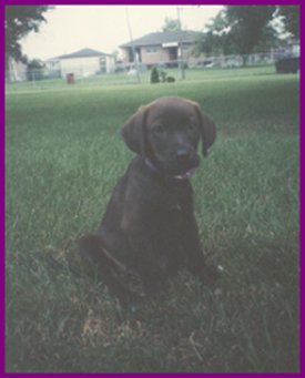 I'm Sooooo Cute!!!