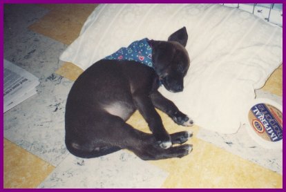 Zzzz  Zzzz!!!