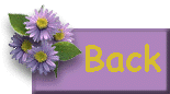Back to Jenn's Page