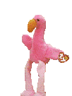 pinky