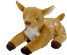 Whisper the Deer