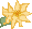 Daffodil