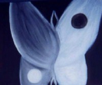 oil paintings by Jenn MacNeill