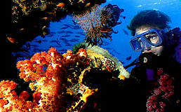 �Quicksilver Connections - JPEG image 258x160 pixels, Decoded size (Bytes):82776