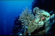 �Hideaway Island Resort - JPEG image X pixels, Decoded size (Bytes):6263