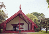 Whare Runanga, 17oct99 - �Jenny Grainger - GIF image 120x172 Decoded (bytes):16434, opening to JPEG image 600x419 pixels, Decoded size(Bytes):114617