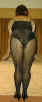 PIC009.jpg (138903 bytes)