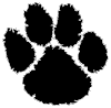 Photo of Wildcat Paw