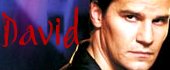 David/Angel Avatars