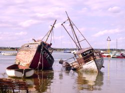 boats