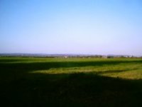 south downs