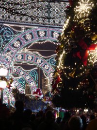 christmas lights, tree and santa!