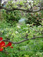spring