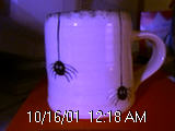 spooky spiders!