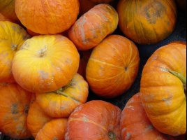 Pumpkins