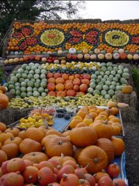 Pumpkin House, Slindon
