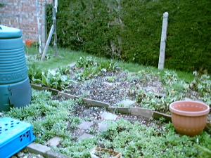vacant veggie plot