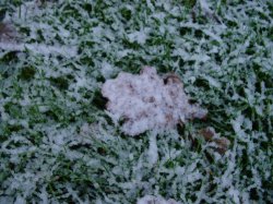 just about snow!