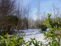  more snow 