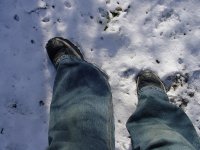 portrait of the artist in snow