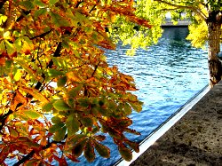 Autumn in Paris