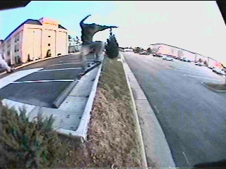 Ollie