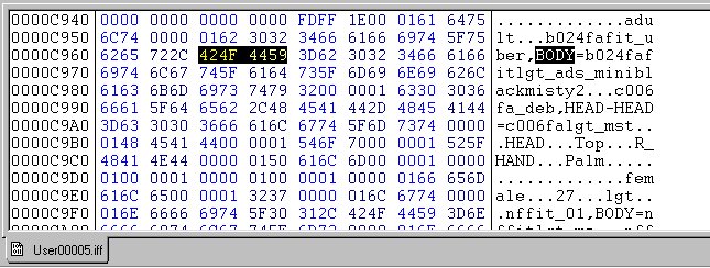 Screenshot of a userxxxx.iff file, and the area we are looking for