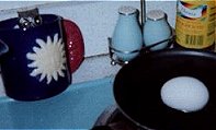 Salt Shaker Owl watches the water boil away so you don't have to...