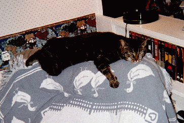 Lazy Isis