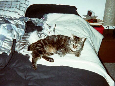Isis and Sasami