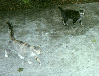 Isis and Little One