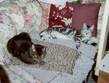 Isis and Sasami