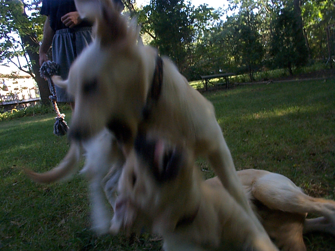 Grrrr, right back at you!!!!