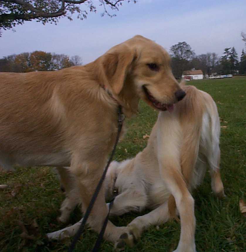 I'll KICK your butt before I ever KISS your butt!!!!